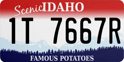 ID license plate 1T7667R