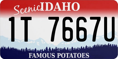 ID license plate 1T7667U
