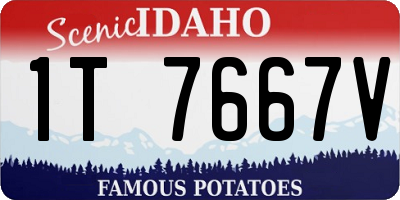 ID license plate 1T7667V