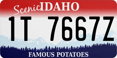 ID license plate 1T7667Z