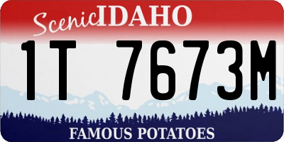 ID license plate 1T7673M