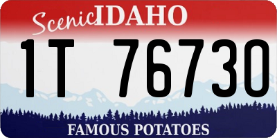 ID license plate 1T7673O