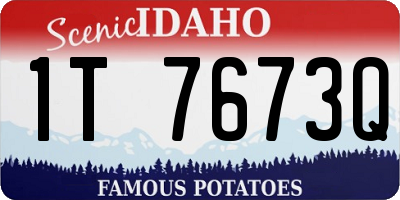 ID license plate 1T7673Q
