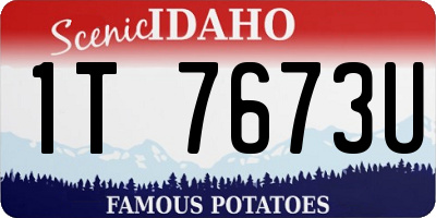 ID license plate 1T7673U