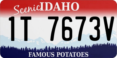 ID license plate 1T7673V