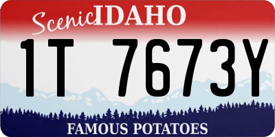 ID license plate 1T7673Y