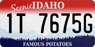 ID license plate 1T7675G