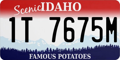 ID license plate 1T7675M