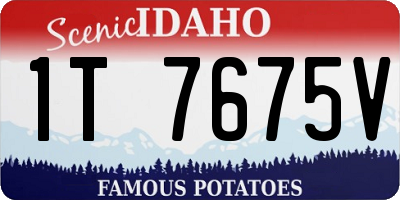 ID license plate 1T7675V