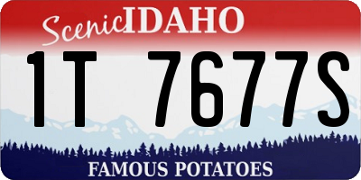 ID license plate 1T7677S