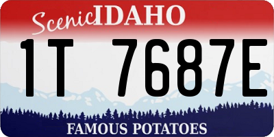 ID license plate 1T7687E
