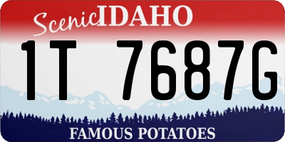 ID license plate 1T7687G