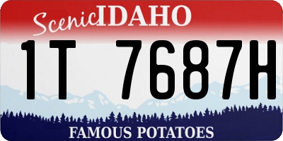 ID license plate 1T7687H