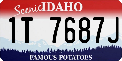 ID license plate 1T7687J