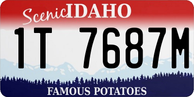 ID license plate 1T7687M