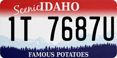 ID license plate 1T7687U