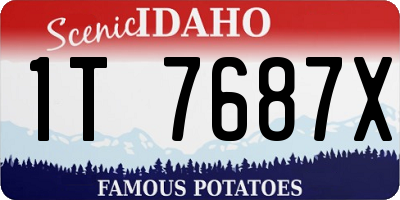 ID license plate 1T7687X