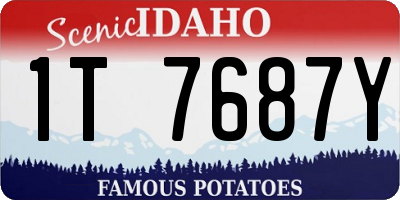 ID license plate 1T7687Y