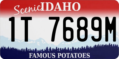 ID license plate 1T7689M