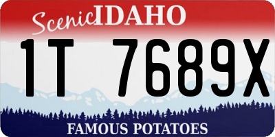 ID license plate 1T7689X