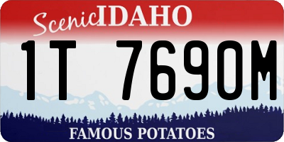 ID license plate 1T7690M