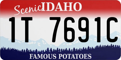 ID license plate 1T7691C