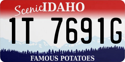 ID license plate 1T7691G