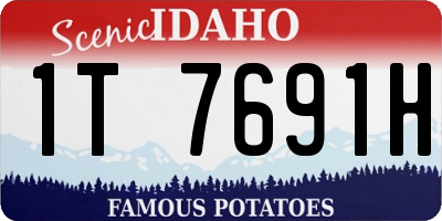 ID license plate 1T7691H