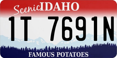 ID license plate 1T7691N