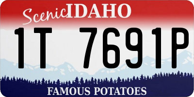ID license plate 1T7691P