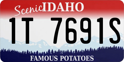 ID license plate 1T7691S