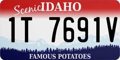 ID license plate 1T7691V