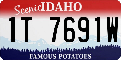 ID license plate 1T7691W