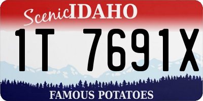 ID license plate 1T7691X
