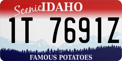 ID license plate 1T7691Z