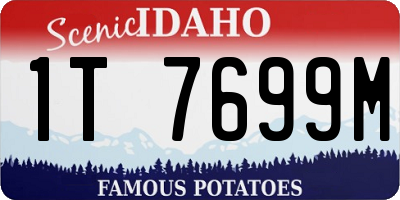 ID license plate 1T7699M