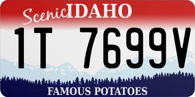 ID license plate 1T7699V