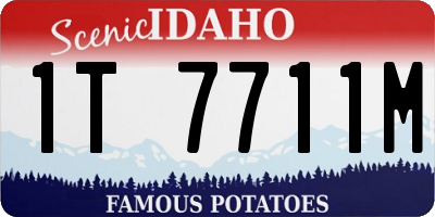 ID license plate 1T7711M