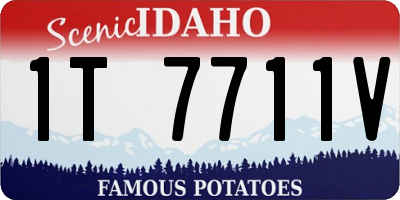 ID license plate 1T7711V