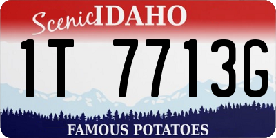 ID license plate 1T7713G