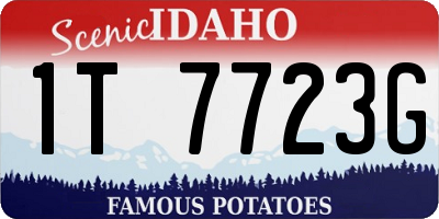 ID license plate 1T7723G