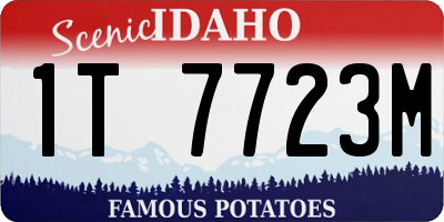 ID license plate 1T7723M