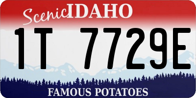ID license plate 1T7729E