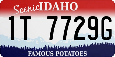 ID license plate 1T7729G