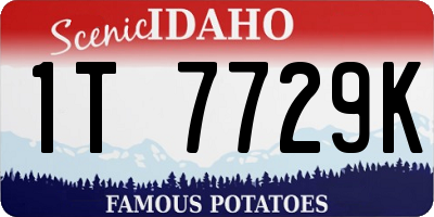 ID license plate 1T7729K