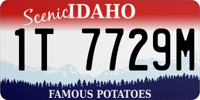 ID license plate 1T7729M