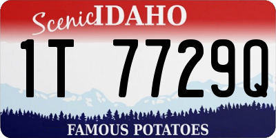 ID license plate 1T7729Q