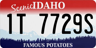 ID license plate 1T7729S
