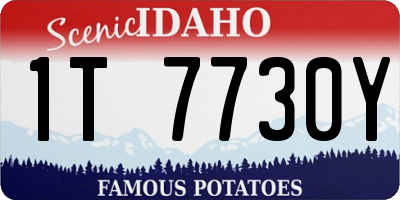 ID license plate 1T7730Y