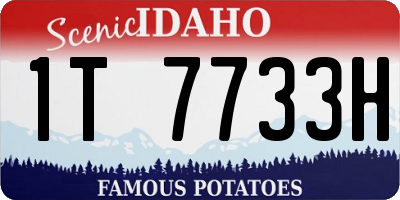 ID license plate 1T7733H